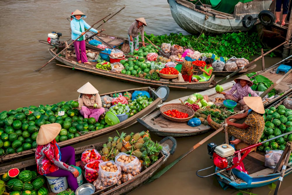 the mekong delta